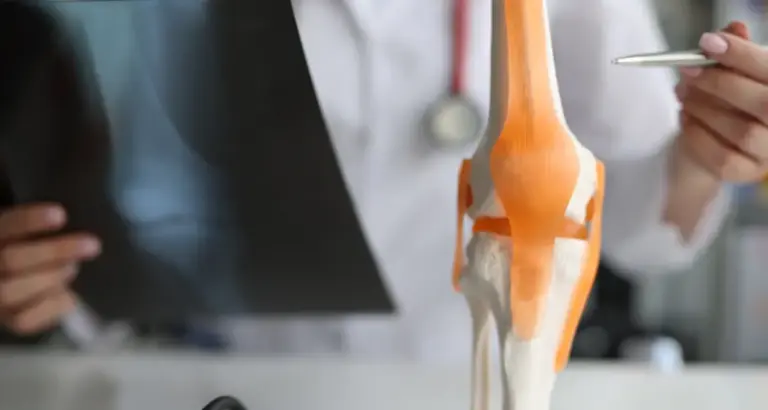 Healthy Knee Joint Waters Edge Medical Clinic Healthy Knee Joint knee joint x ray