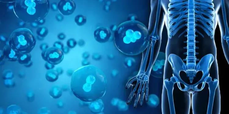 Best Stem Cell Therapy Doctor Near florida Waters Edge Medical Clinic Best Stem Cell Therapy Doctor Near florida