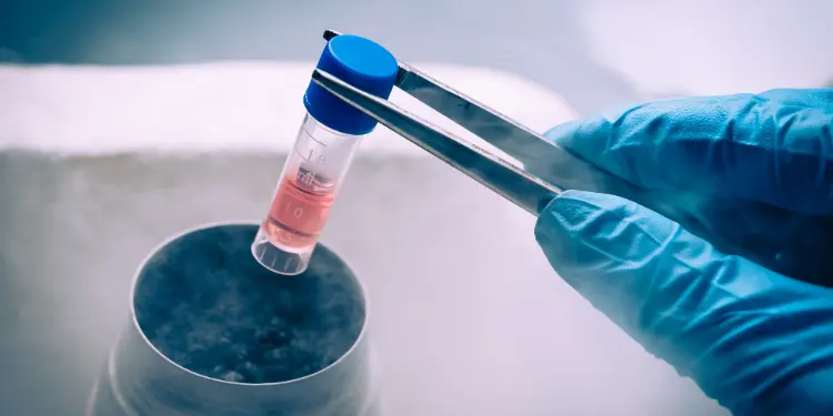 Cost of Stem Cell Treatment for Knees Explained