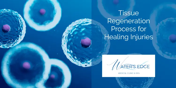 Tissue Regeneration Process for Healing Injuries Waters Edge Medical Clinic Tissue Regeneration Process for Healing Injuries