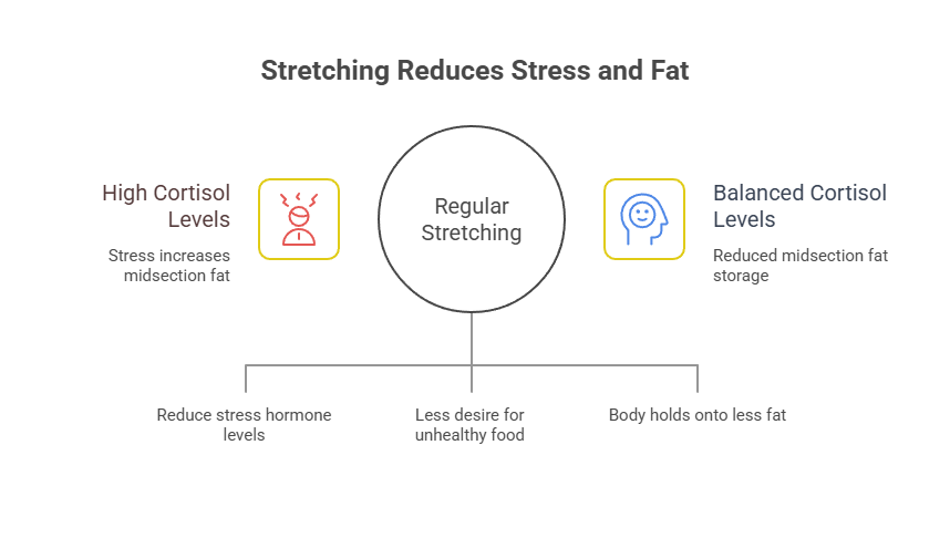 How Stretching Benefits Weight Loss by Targeting Cortisol Waters Edge Medical Clinic How Stretching Benefits Weight Loss by Targeting Cortisol